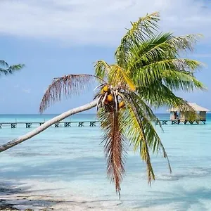 sunset-hill-lodge.frenchpolynesia-hotels.com/